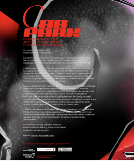 Screenshot Carpark-Website 